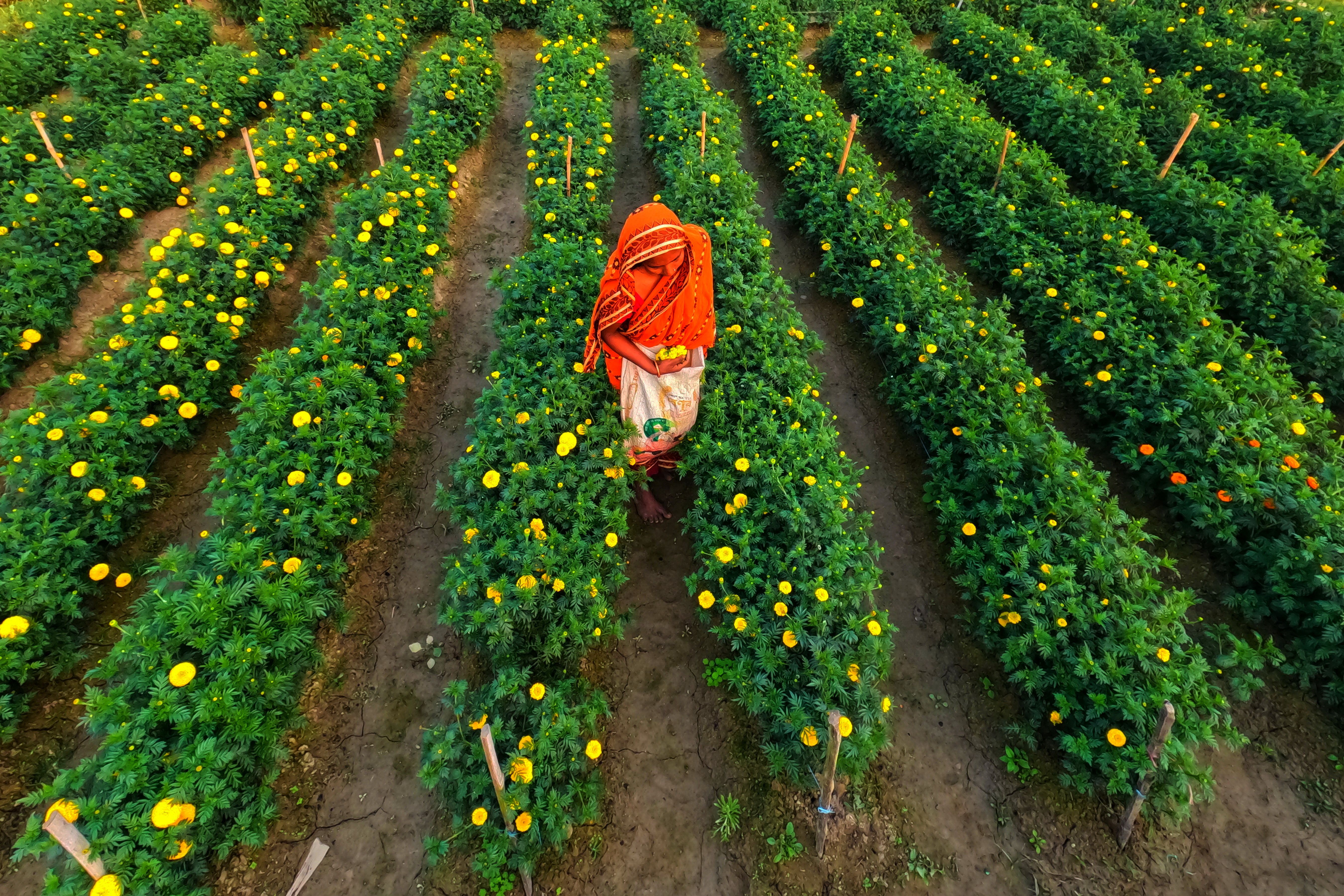 India faces rising uncompensable heat stress, especially during monsoon season