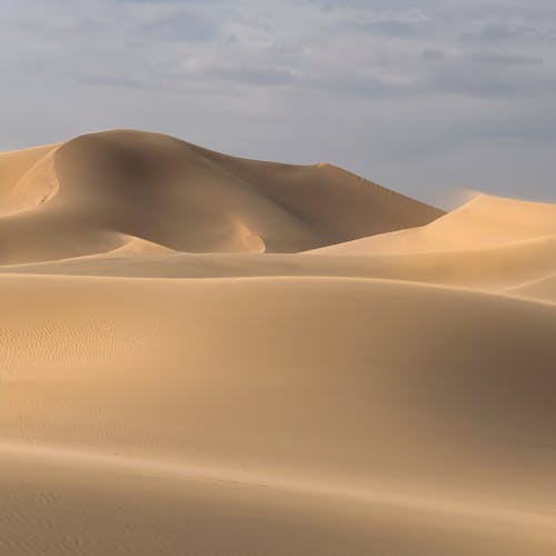 Immagine gratuita di barkhan, deserto, duna