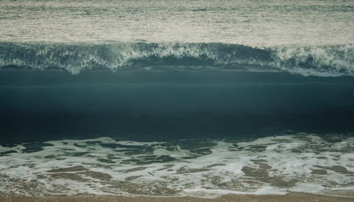 Gratis lagerfoto af bølge, hav, sand