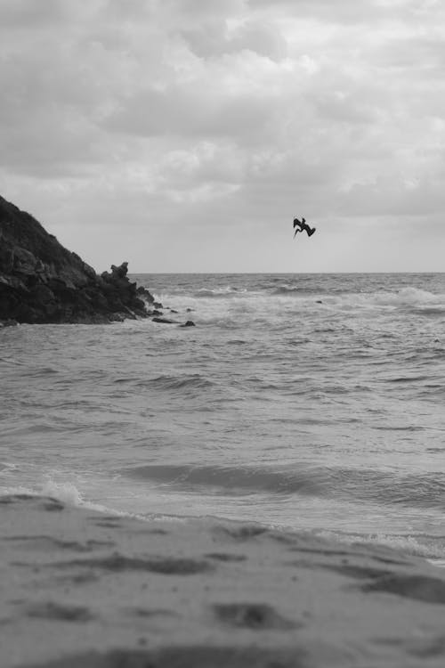 Základová fotografie zdarma na téma černobílý, létání, midair