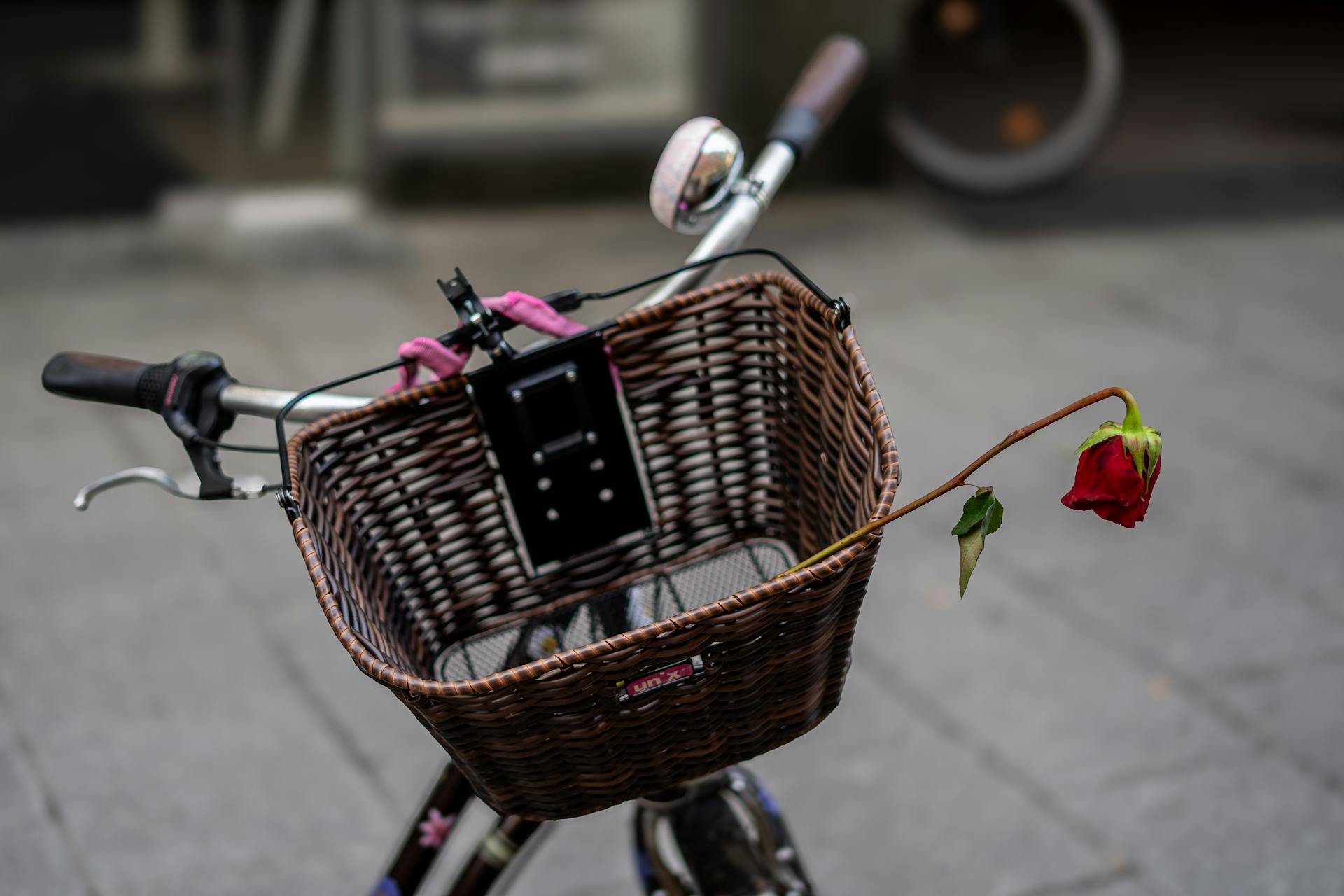 Flower in Basket on Bike