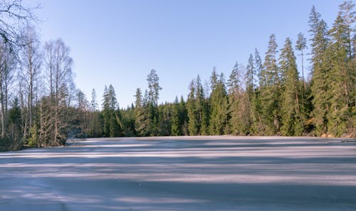 ağaçlar, doğa, donmuş göl içeren Ücretsiz stok fotoğraf