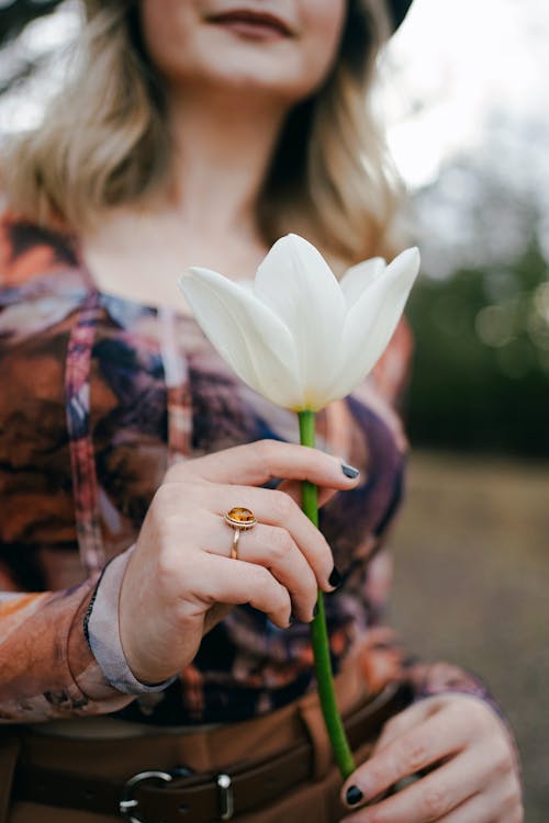 Kostenloses Stock Foto zu blond, blume, festhalten