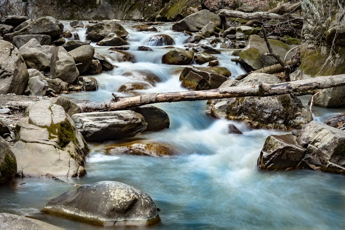 Free Photo of River During Daytime Stock Photo