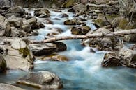 在自然的户外环境中，宁静的河流流过长满青苔的岩石和倒下的原木