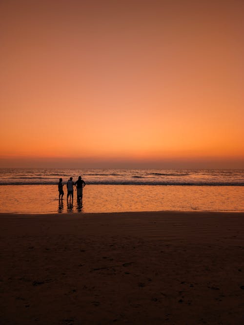 Free Group of Tourists Standing in Shallow Water on the Beach at Dusk Stock Photo