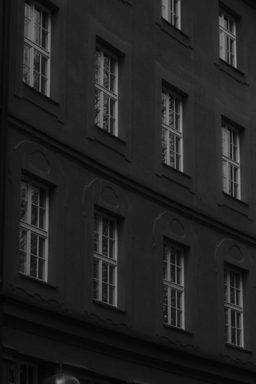 Building Wall with Windows in Black and White