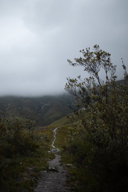 A trail in the mountains with fog and clouds
