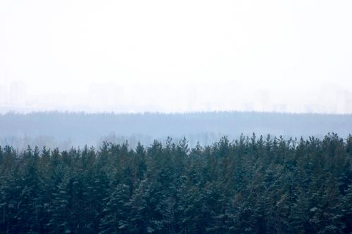 Free stock photo of arctic nature, cloud forest Stock Photo