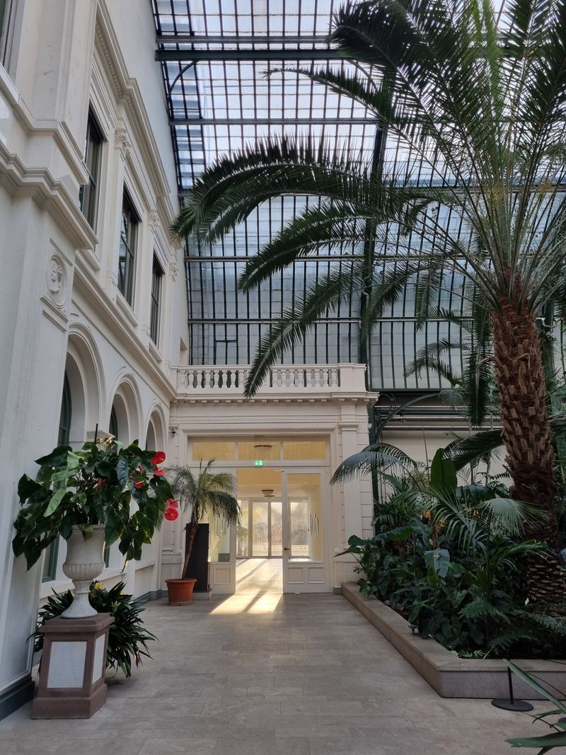 Interior of the Palmengarten botanical garden in Frankfurt