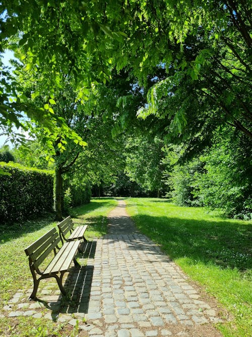 Two Benches in a Park
