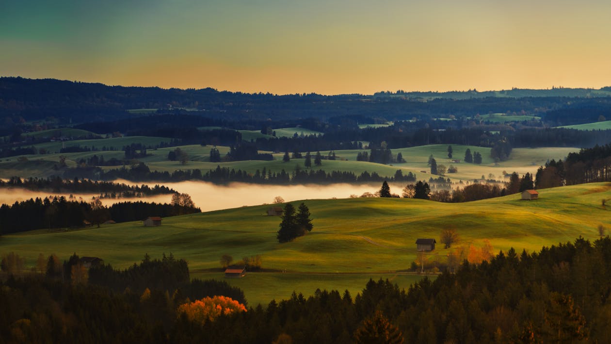 Photos gratuites de arbres, campagne, champs