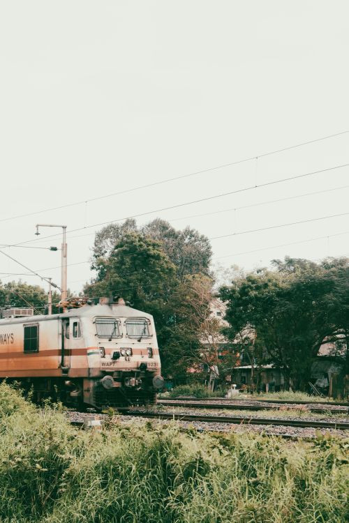 Free Electric train travels through a lush, green landscape during the daytime, showcasing modern rail travel. Stock Photo