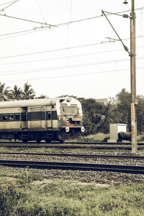 Foto profissional grátis de elétrico, estrada de ferro, faixa