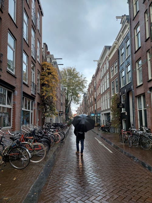 Person Walks under Black Umbrella in Rain 