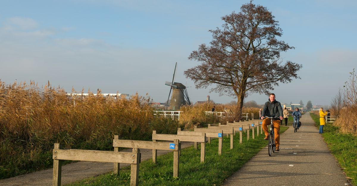 Cyclists enjoy a sunny ride on a scenic path with a classic windmill in the background.