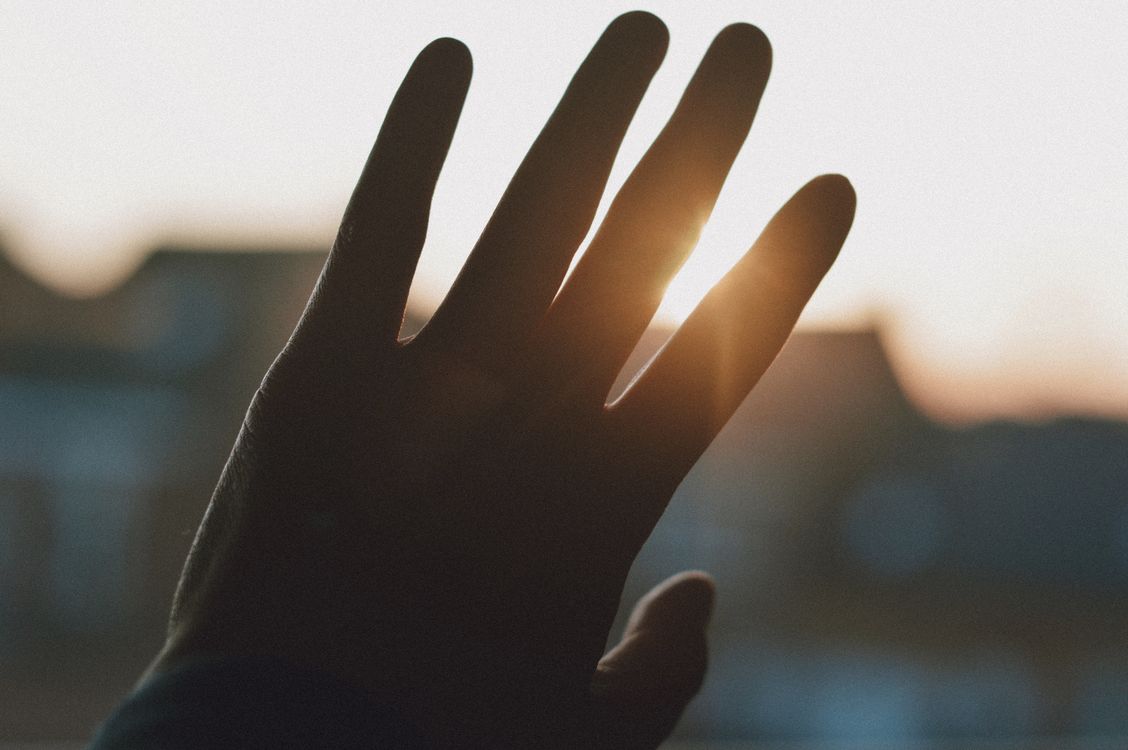 Sunshine Hand Hand in Sunlight · Free Stock Photo