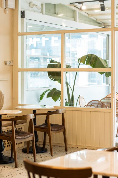 Free Bright café interior with wooden chairs, tables, and a green monstera plant. Stock Photo