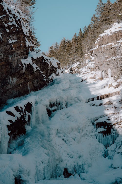 Frozen Cameron Falls in the Canyon