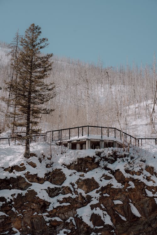 Scenic Overlook on a Snow-covered Mountainside