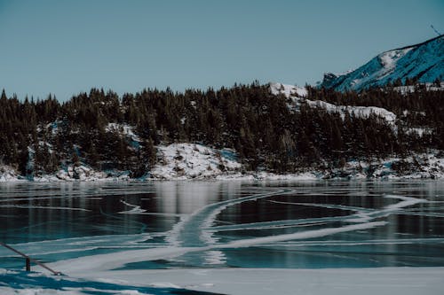 Alberta, dondurulmuş, göl içeren Ücretsiz stok fotoğraf