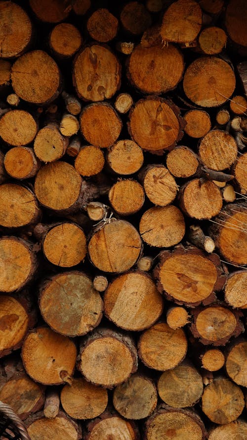 Безкоштовне стокове фото на тему «вертикальні постріл, Деревина, дрова»