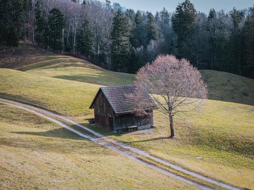 A small cabin sits on a hillside in the middle of a field