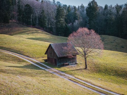 Free A serene countryside view of a wooden shed surrounded by rolling hills and a single tree. Stock Photo