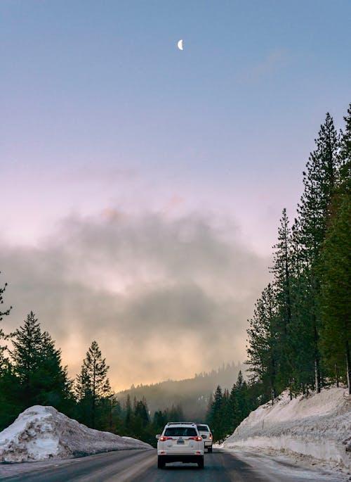 冬季, 冷, 垂直拍攝 的 免費圖庫相片