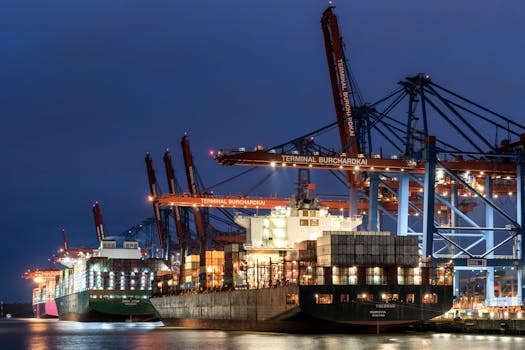 Illuminated container ships and cranes at Terminal Burchardkai, Hamburg harbor during twilight.