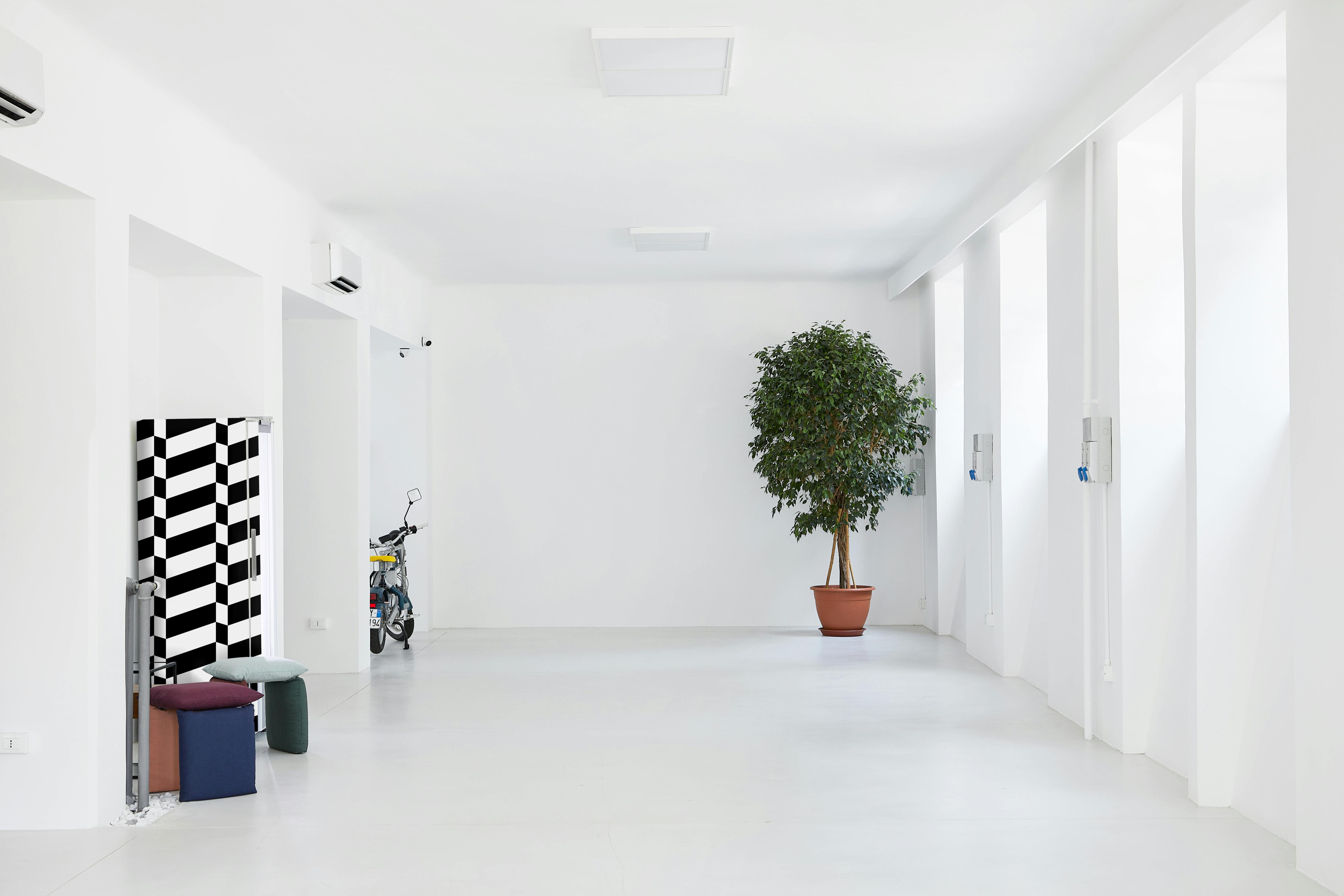 Bright minimalist interior featuring a potted tree and modern design elements.