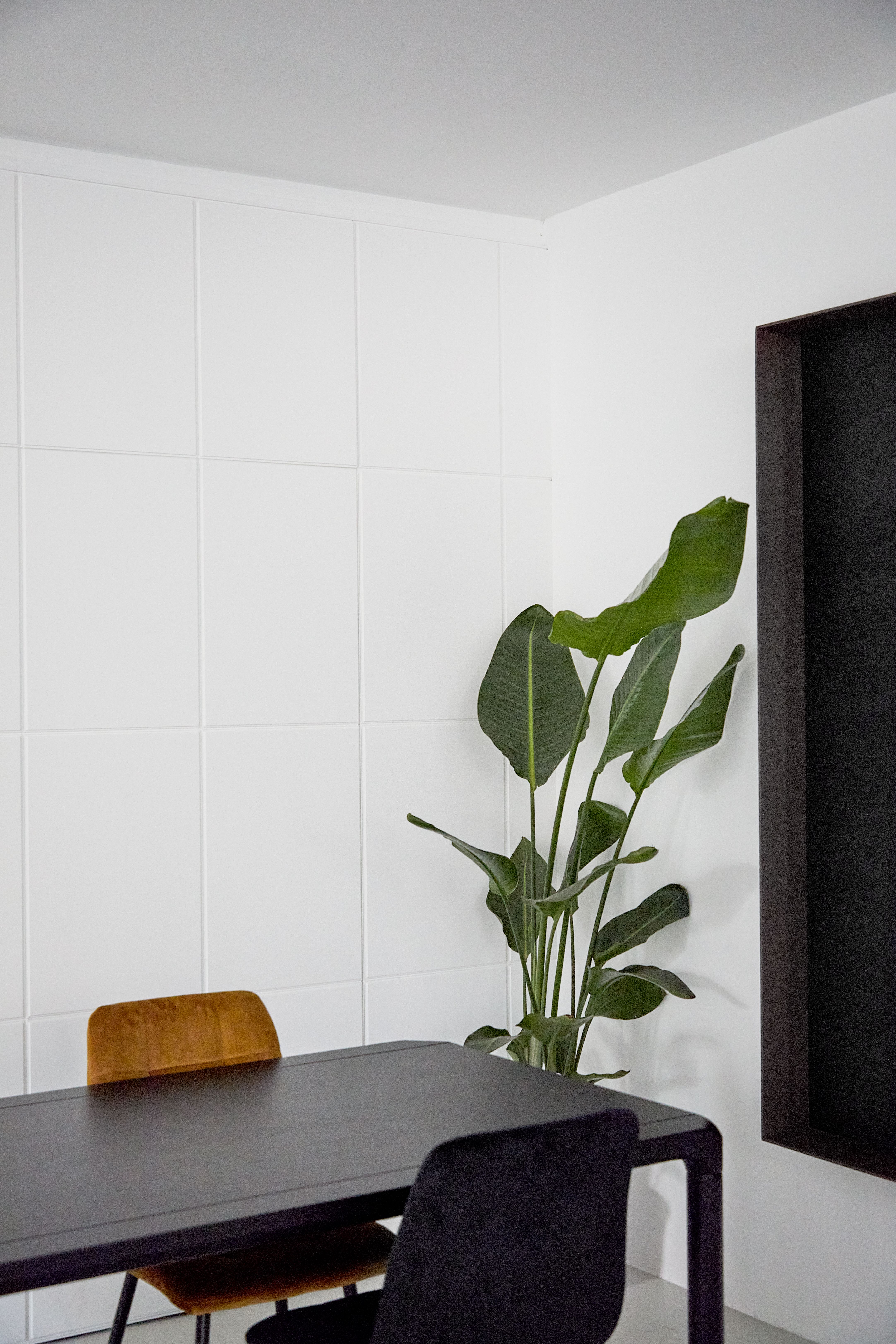 A modern minimalist interior featuring a black table, chairs, and a potted plant against white walls.