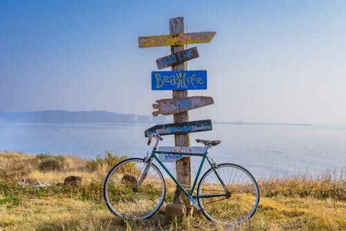 Fotos de stock gratuitas de amanecer, bahía, bicicleta