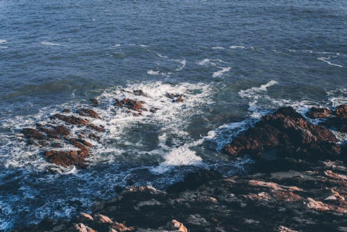 Fotos de stock gratuitas de dice adiós, espuma, mar