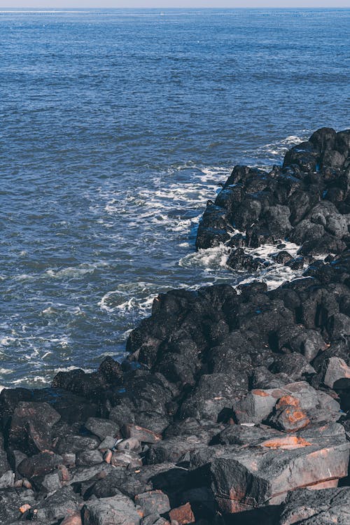 Fotos de stock gratuitas de naturaleza, orilla del mar, rocas oscuras