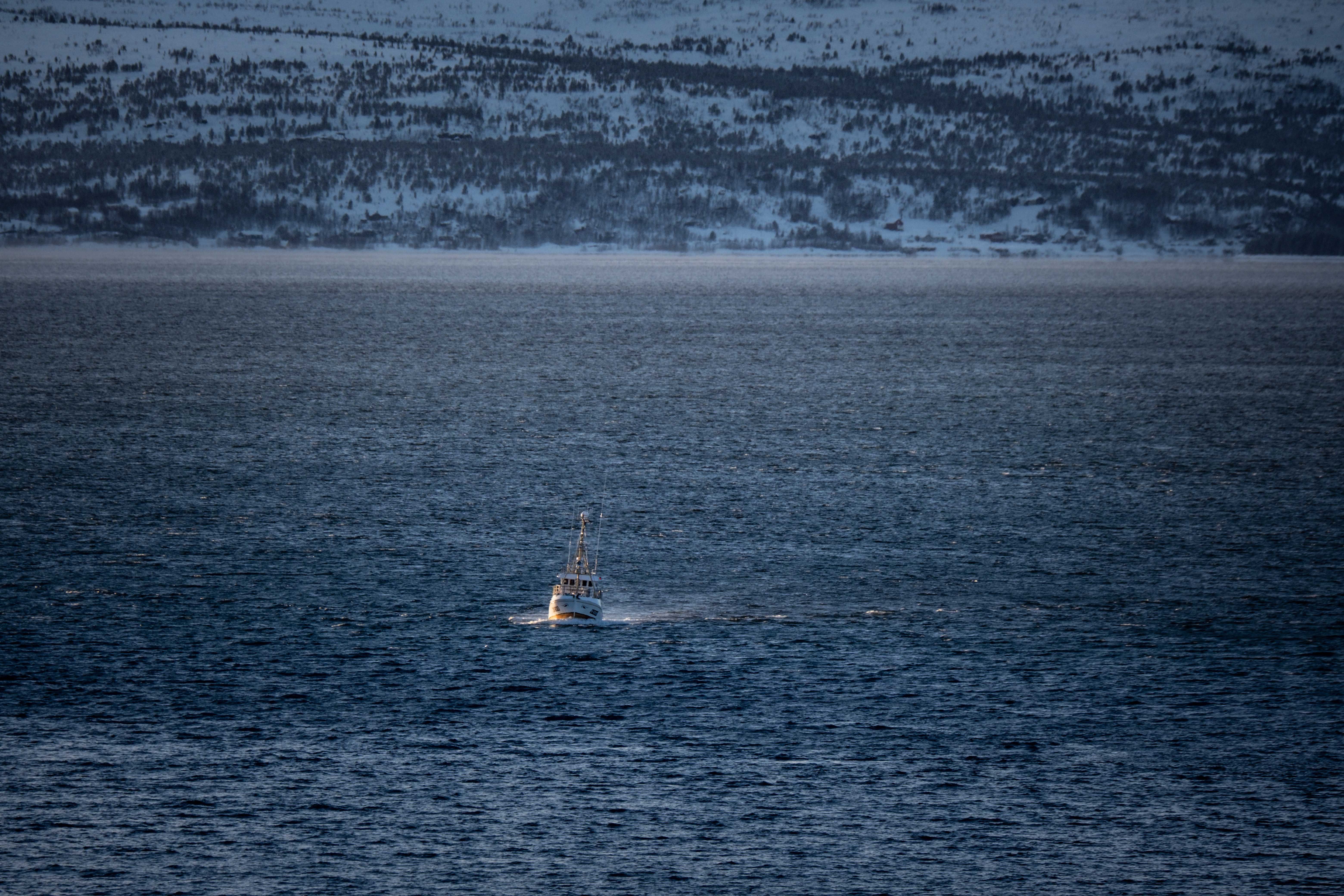 Avansert fisketeknikk demonstrert i fjellandskap