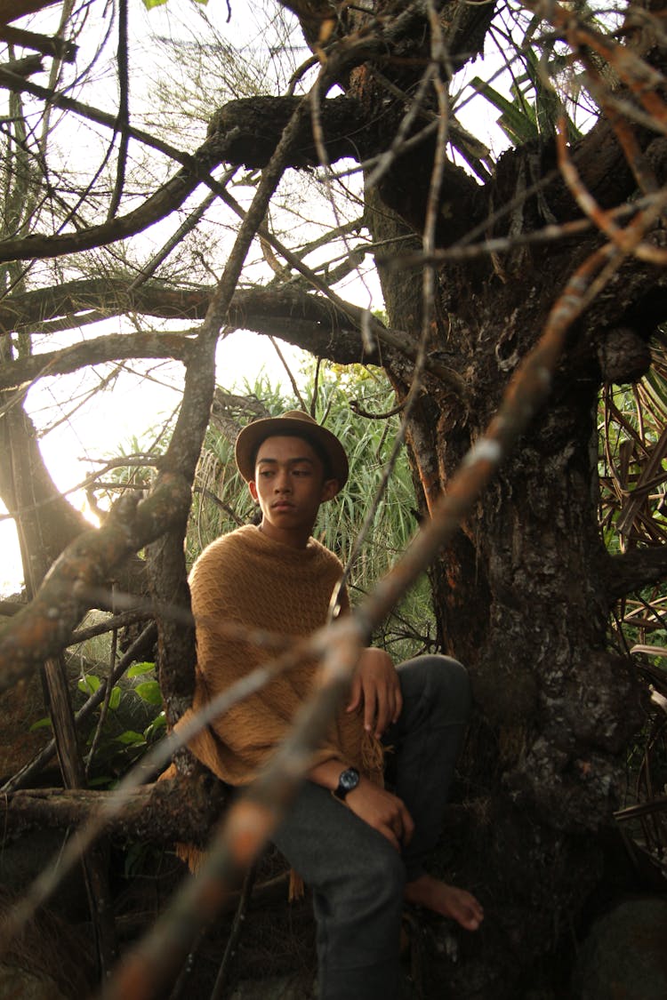 Young Man Sitting On A Tree 