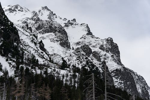 Gratis stockfoto met bergen, besneeuwd, bomen