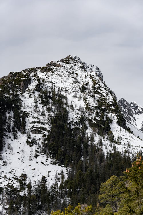 View of a Mountain