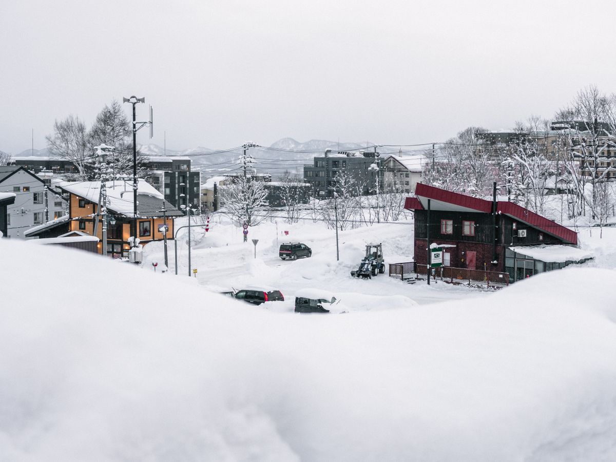 The Physics Behind Niseko's Powder Bulletin
