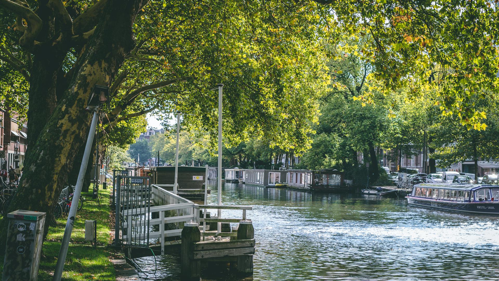 Peaceful canal in Amsterdam with lush greenery and houseboats under sunny skies.
