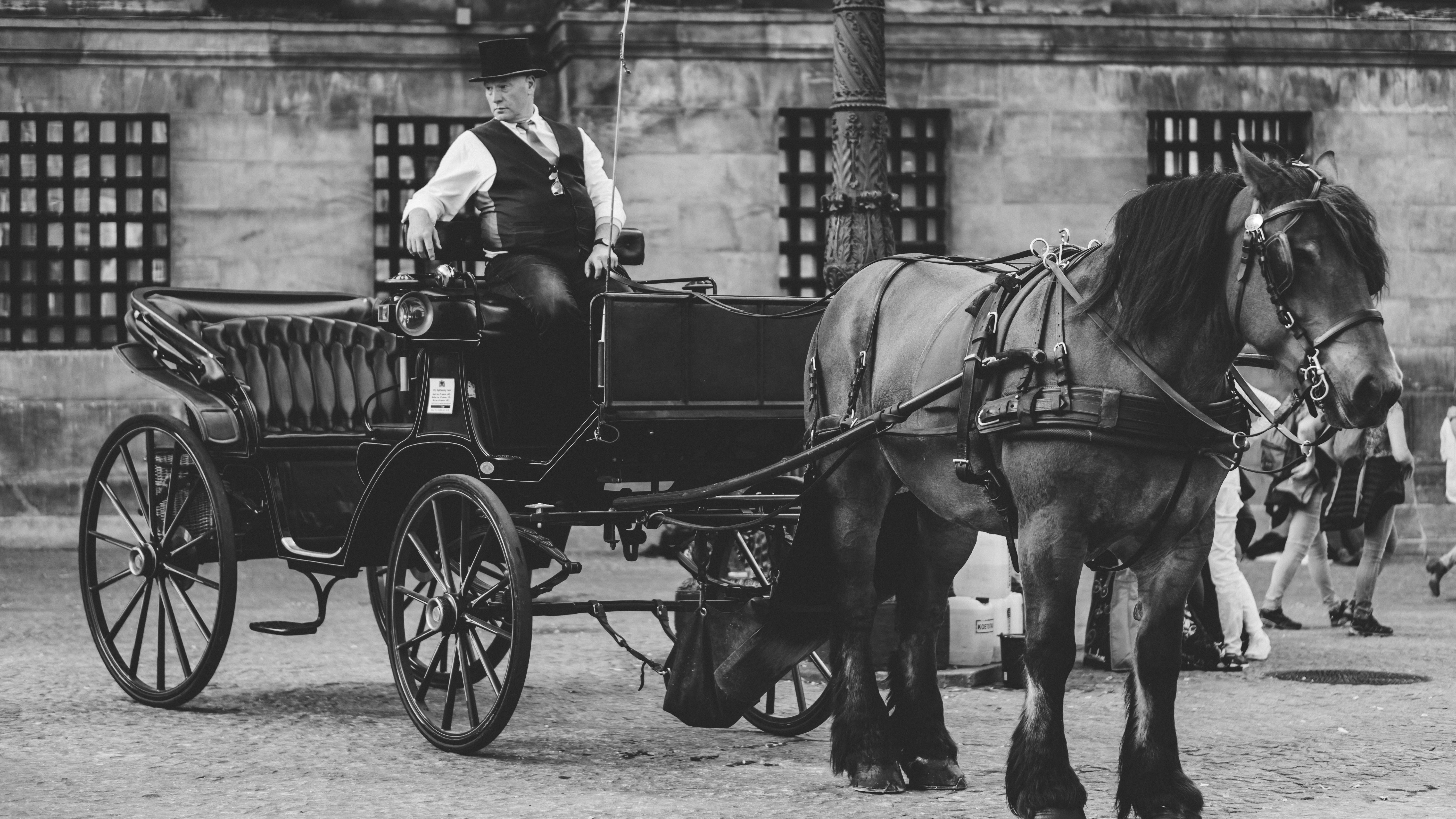 Page 30 | Horse Carriage Images - Free Download on Freepik