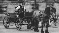 Monochrome Photo of Man in Carriage