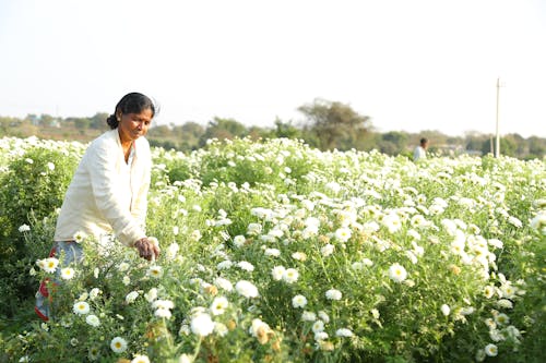 A Woman Standing in a Field