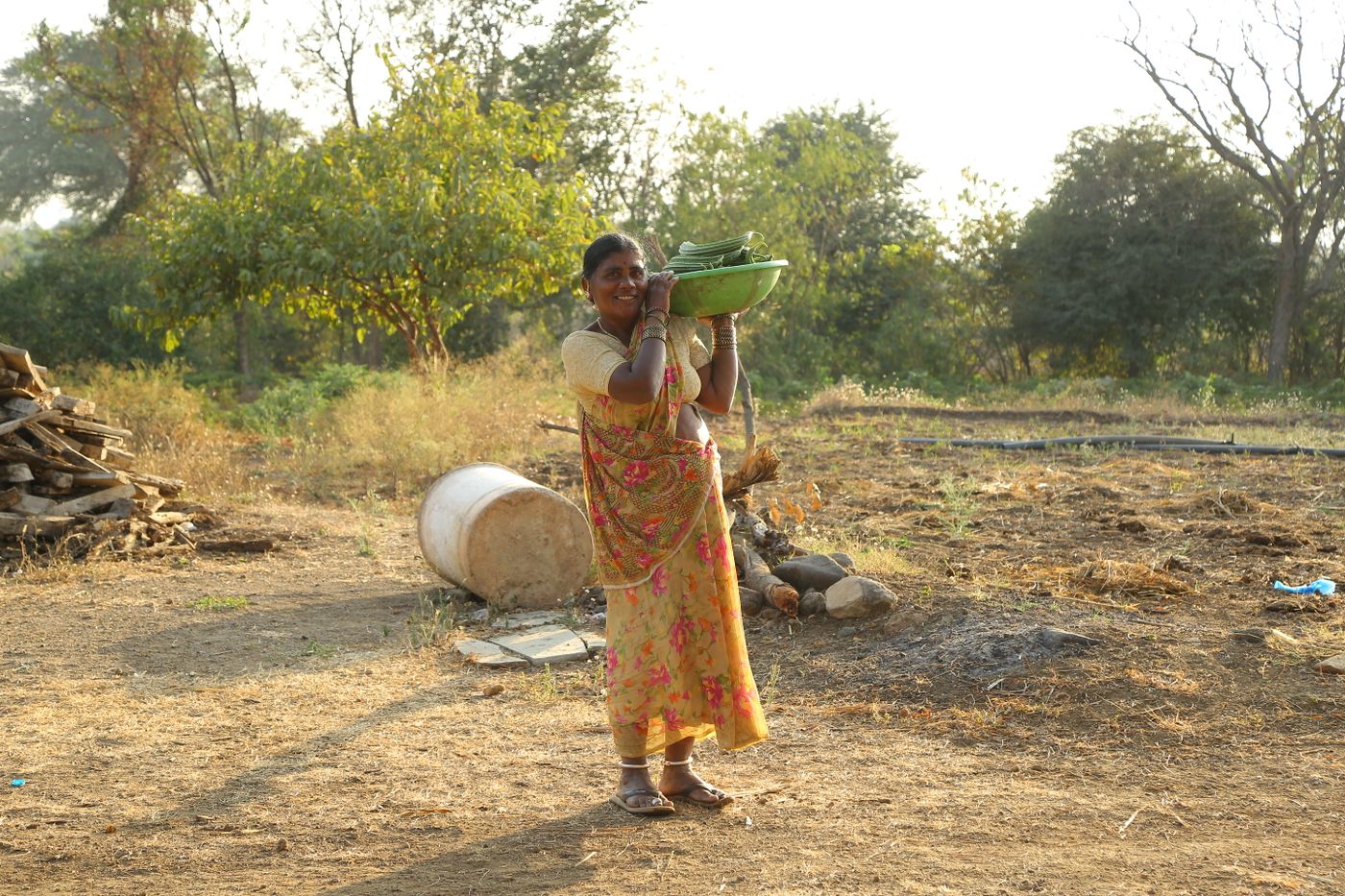 Indian farmer carrying harvested crops