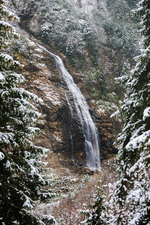 Foto profissional grátis de água, árvores, cachoeira