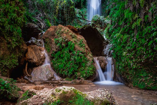 A waterfall in the middle of a lush green forest