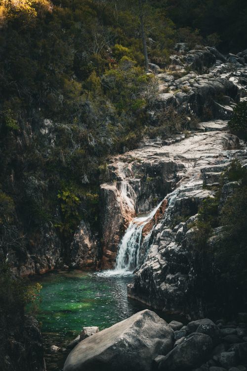Waterfall on Rocks in Forest · Free Stock Photo