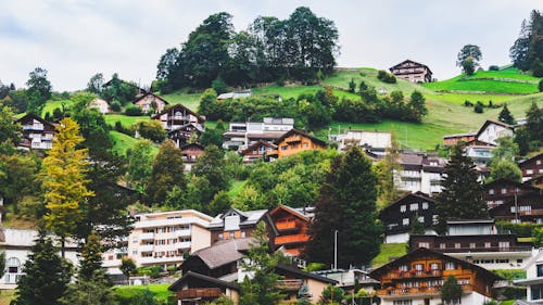 Aerial Photography of Village