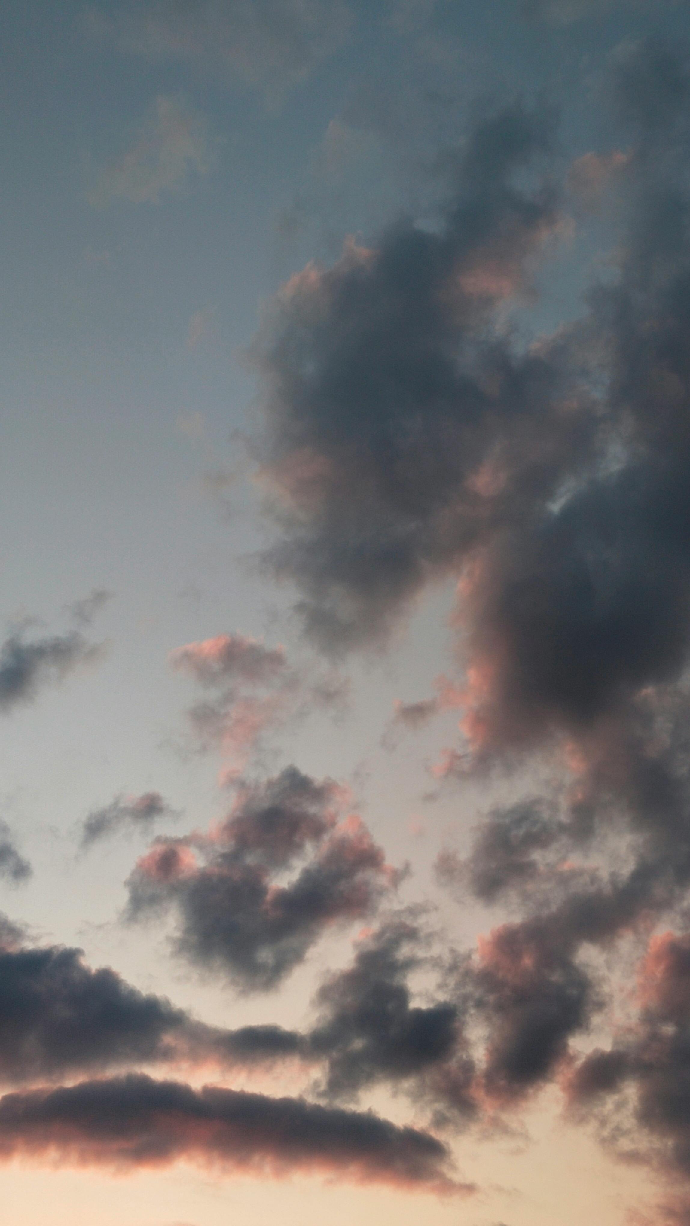 Gratis Foto stok gratis alam, alami, ambien Foto Stok